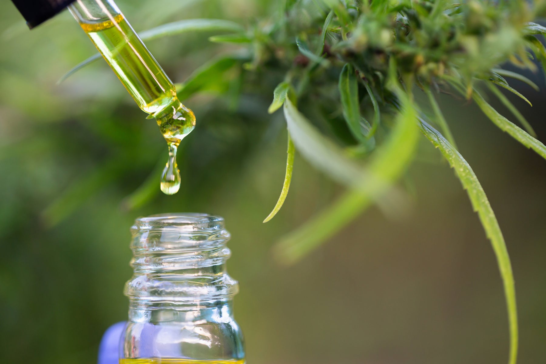 What is the optimal amount of CBD?