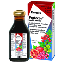 Floradix Protecor Liquid Formula  250ml